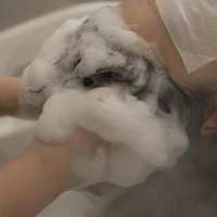 画像255